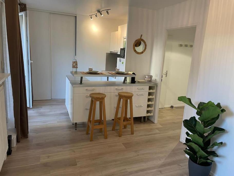 Studio 28 M2 & Jardin Privatif 20 M2 몽티그니레브레통노 외부 사진